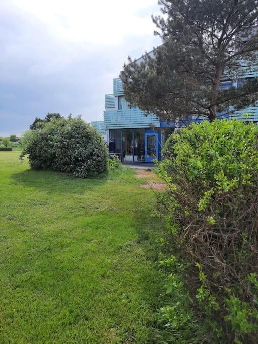 Erdgeschoss-Wohnung Nahe Am Meer Cadzand Exterior foto